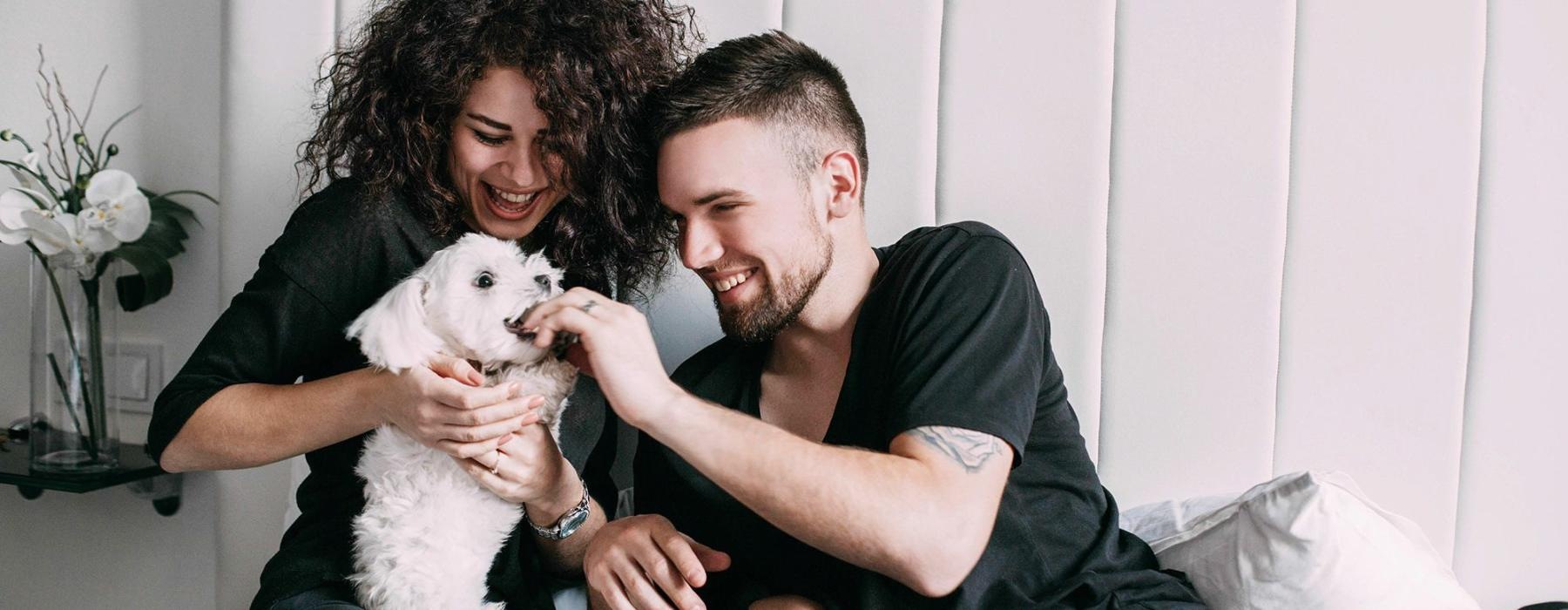 a man and woman sitting on a bed playing with a dog